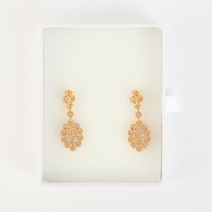 Elegant Gold-Tone Zircon Drop Earrings